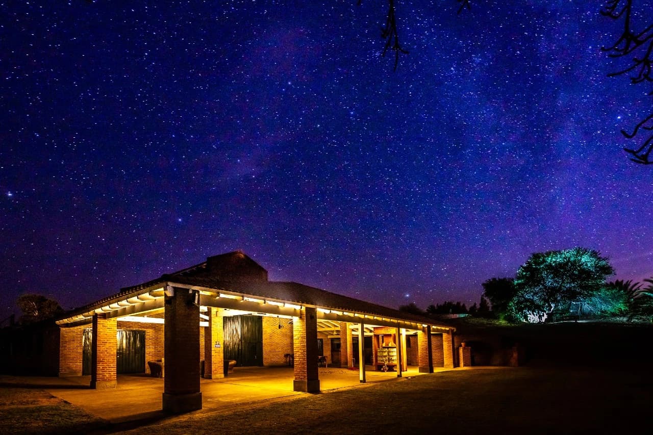 bodega al este