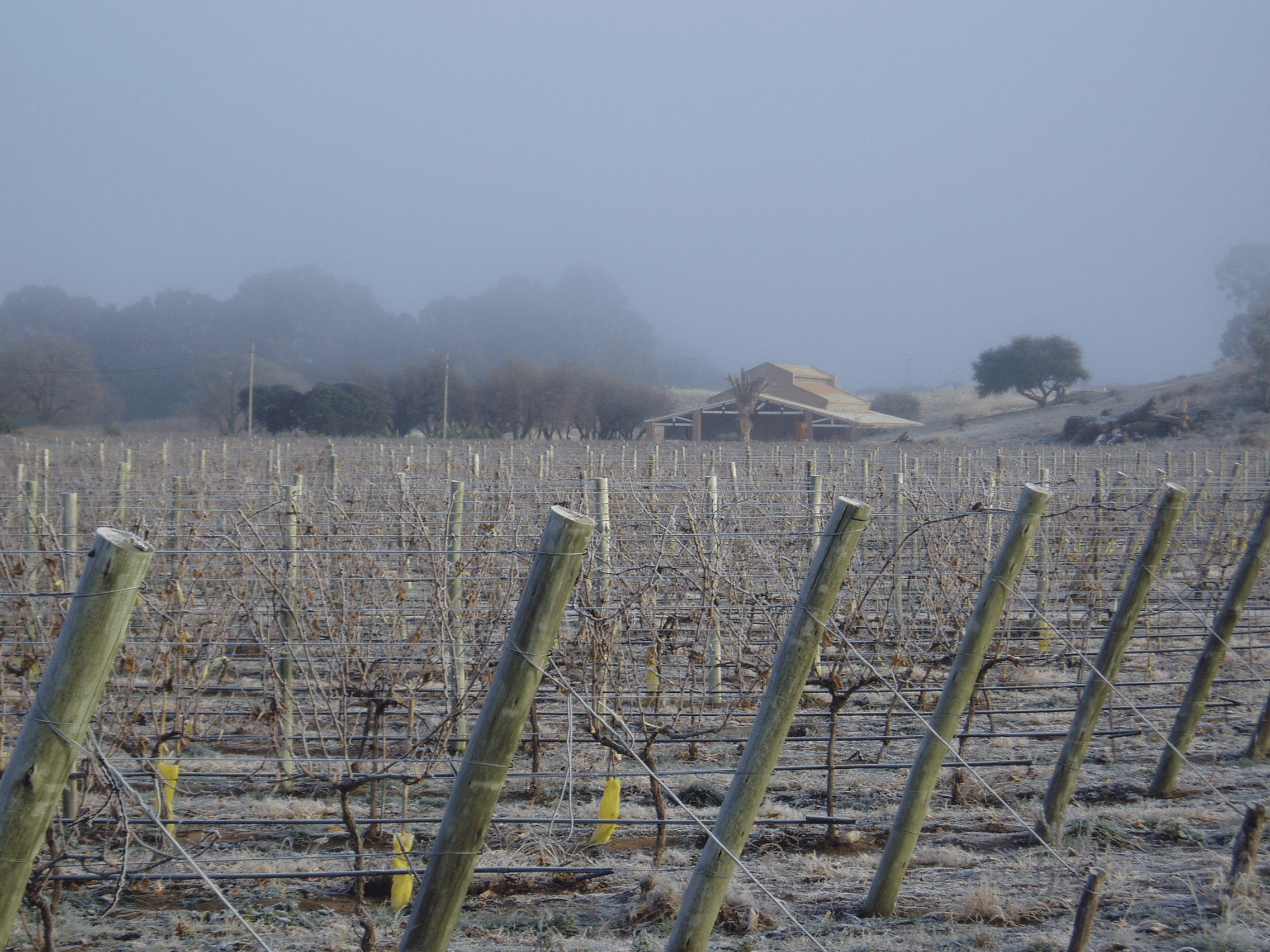 bodega al este